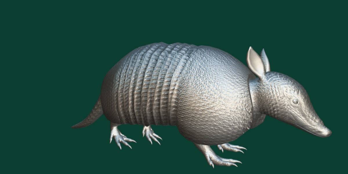 3D model Armadillos Animal VR / AR / lowpoly CGTrader