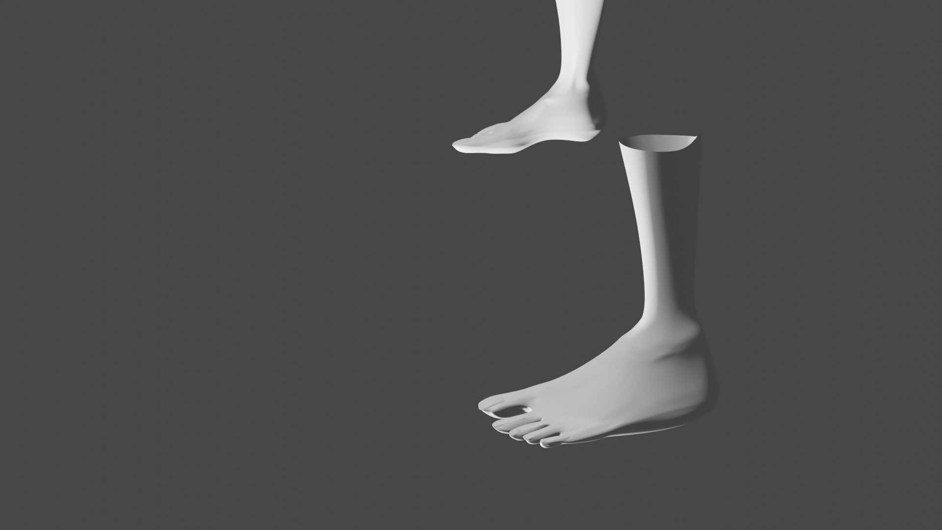 3D model FEET FEMALE MODEL BASIC VR / AR / lowpoly CGTrader