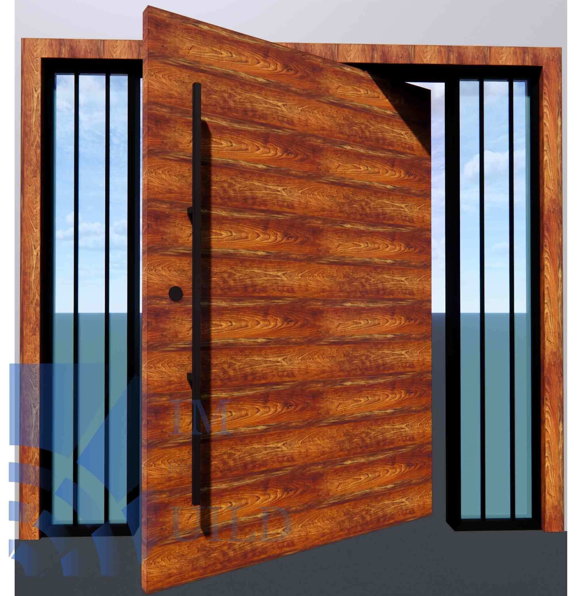 Exterior Pivot Door with Glasses Revit Family full parametric 3D model