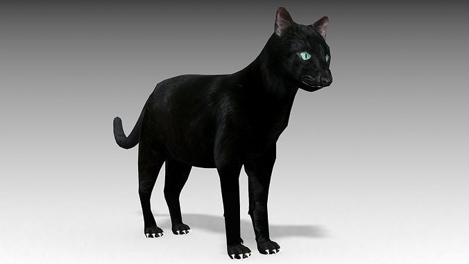 black-cat-animated-3d-model-8fdbbdea85.jpg