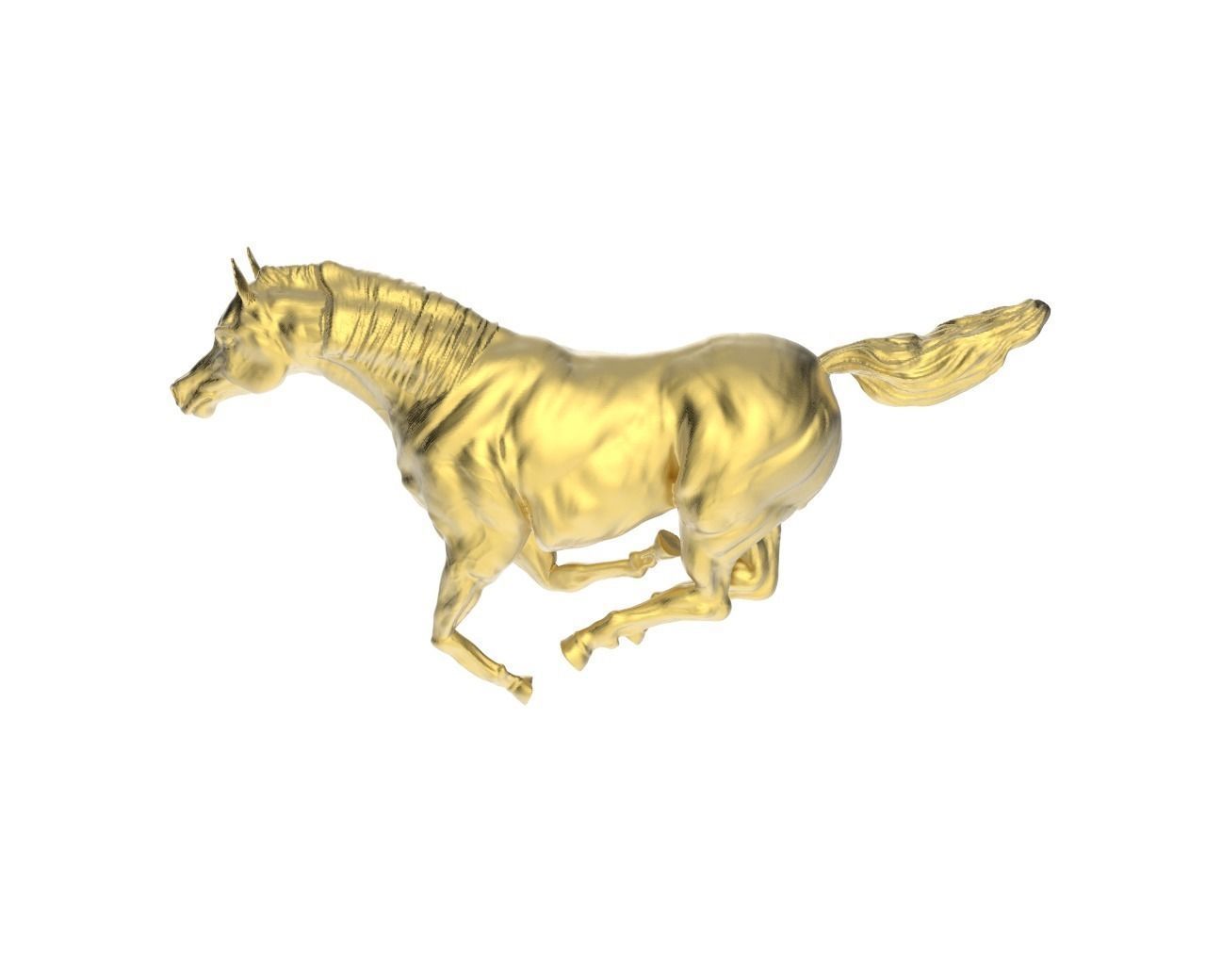 Arabic Horse in galloping position 8