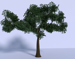 cherry tree 3dm 3d models 3d files cgtrader cherry tree 3dm 3d models 3d files cgtrader
