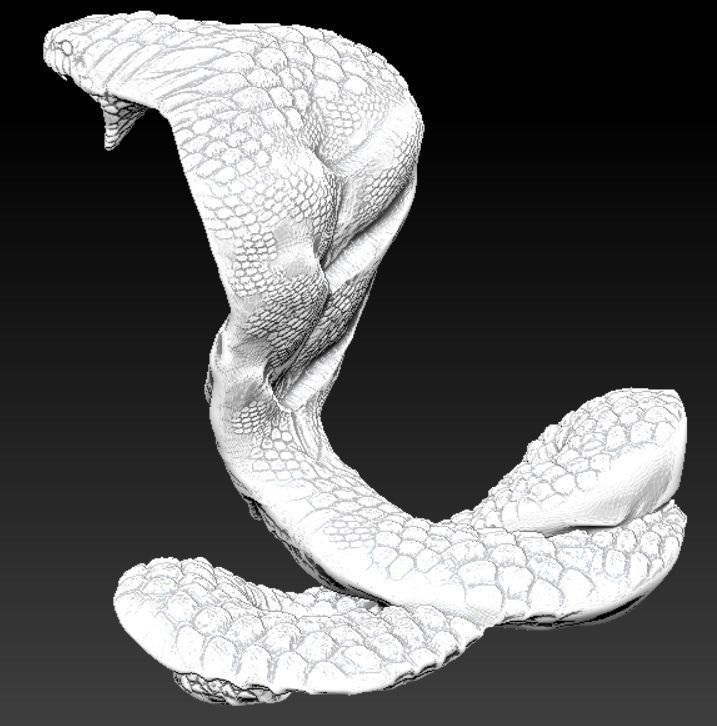 king cobra