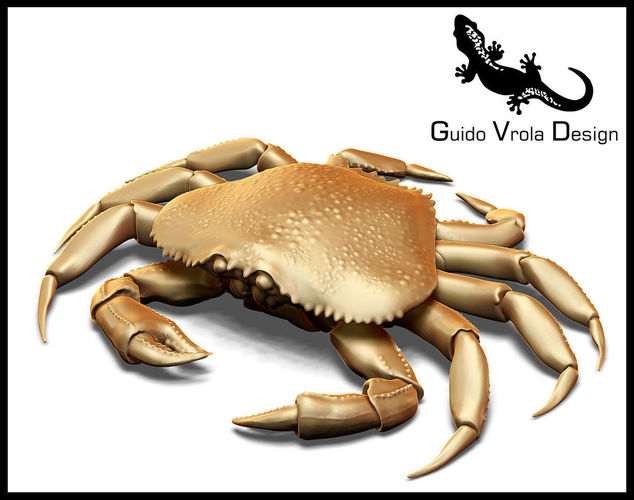 Printable Dungeness crab free 3D model 3D printable CGTrader