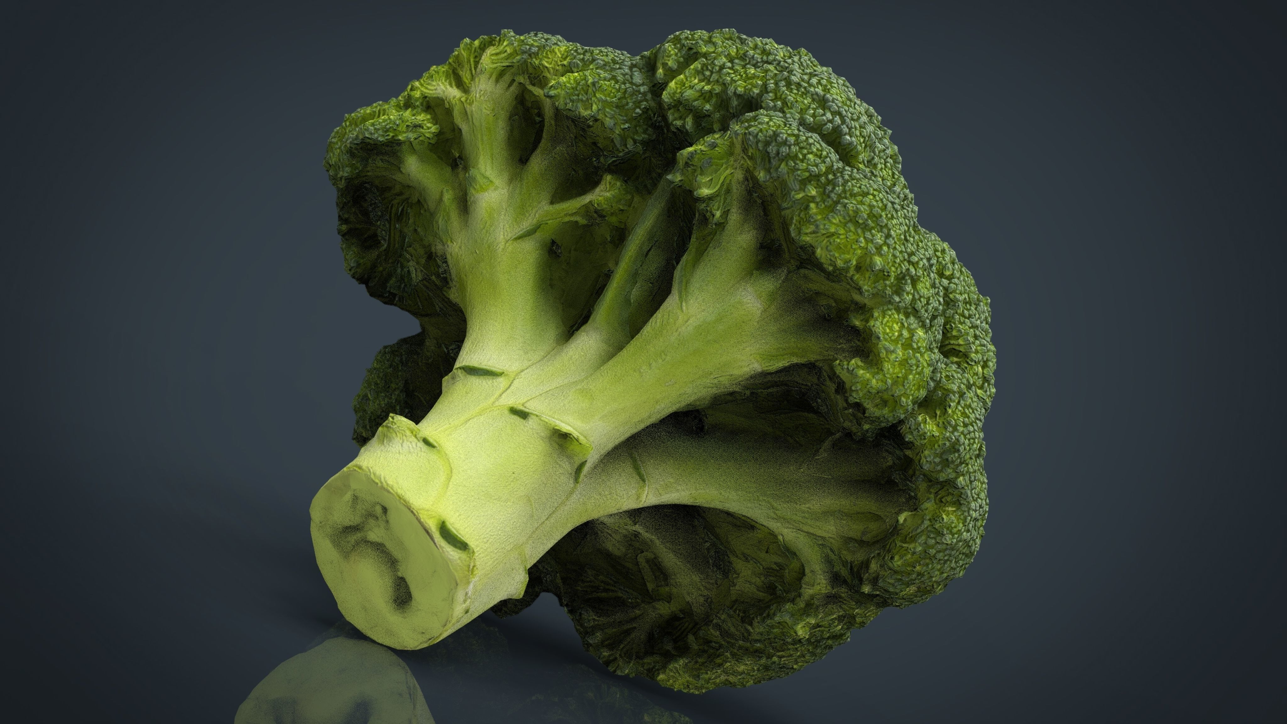Broccoli