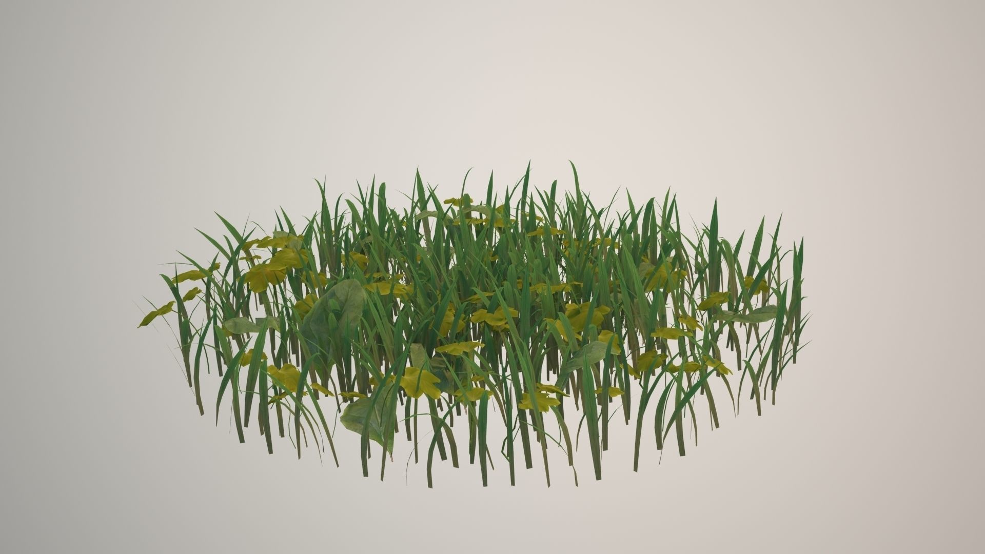 Grass for the Environment