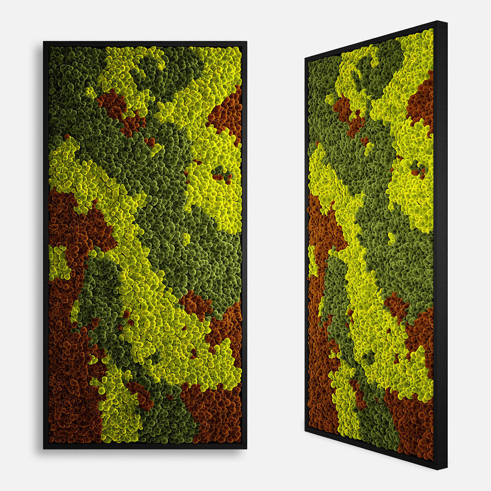 panel moss