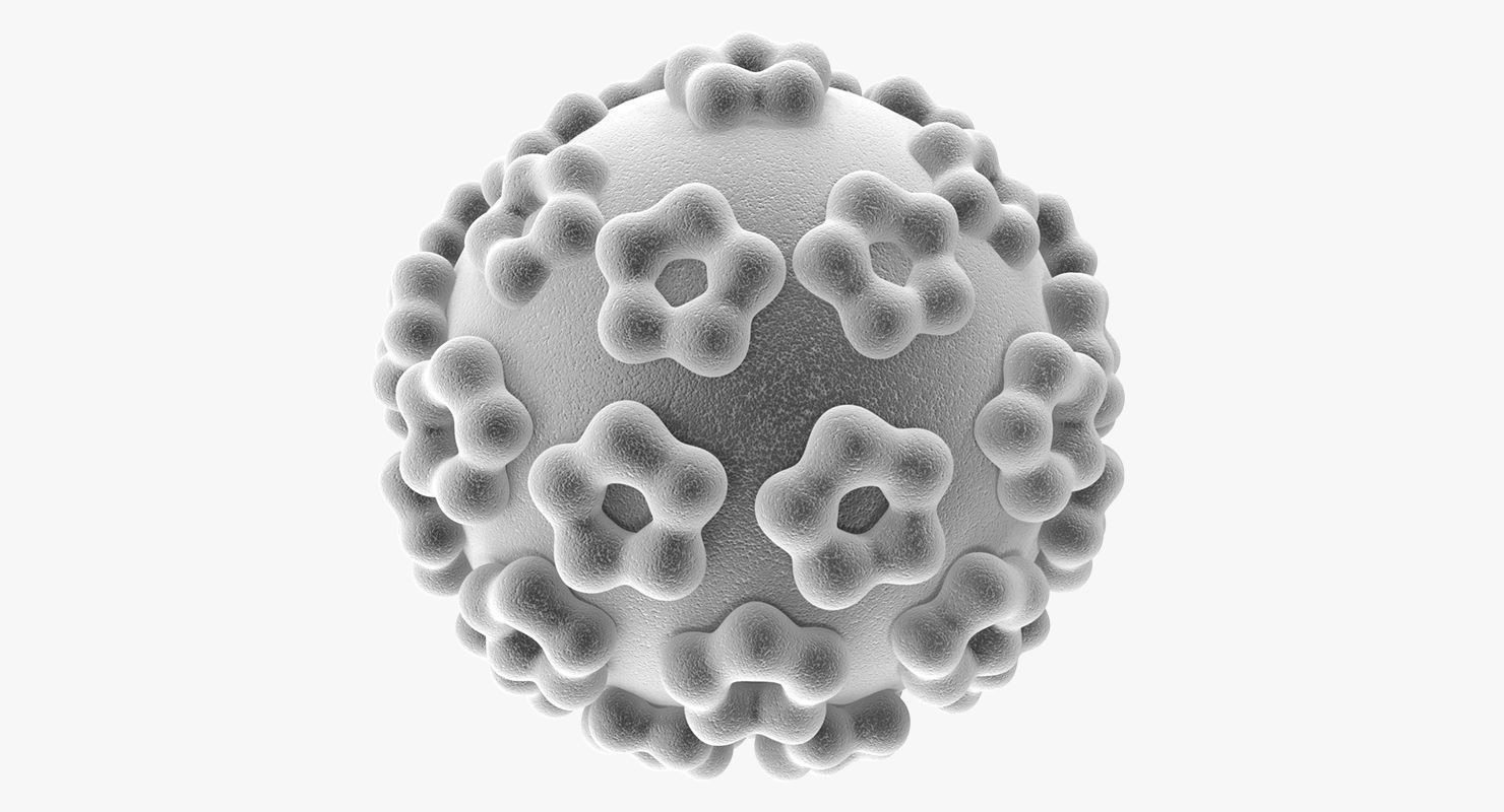 Human Papilloma Virus 3D model | CGTrader