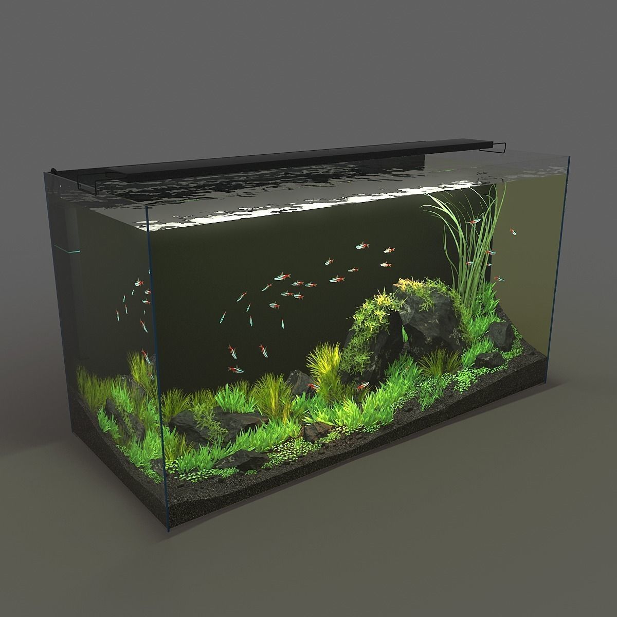 120l fish tank