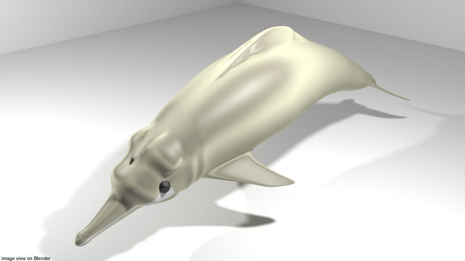 Dolphin - River