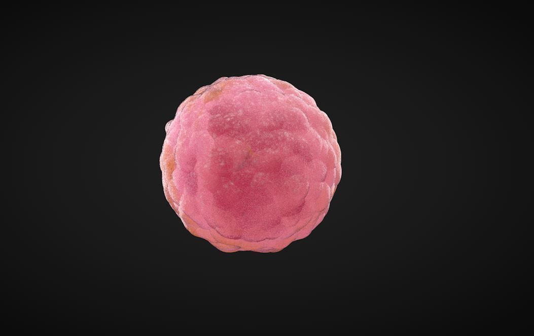 cells