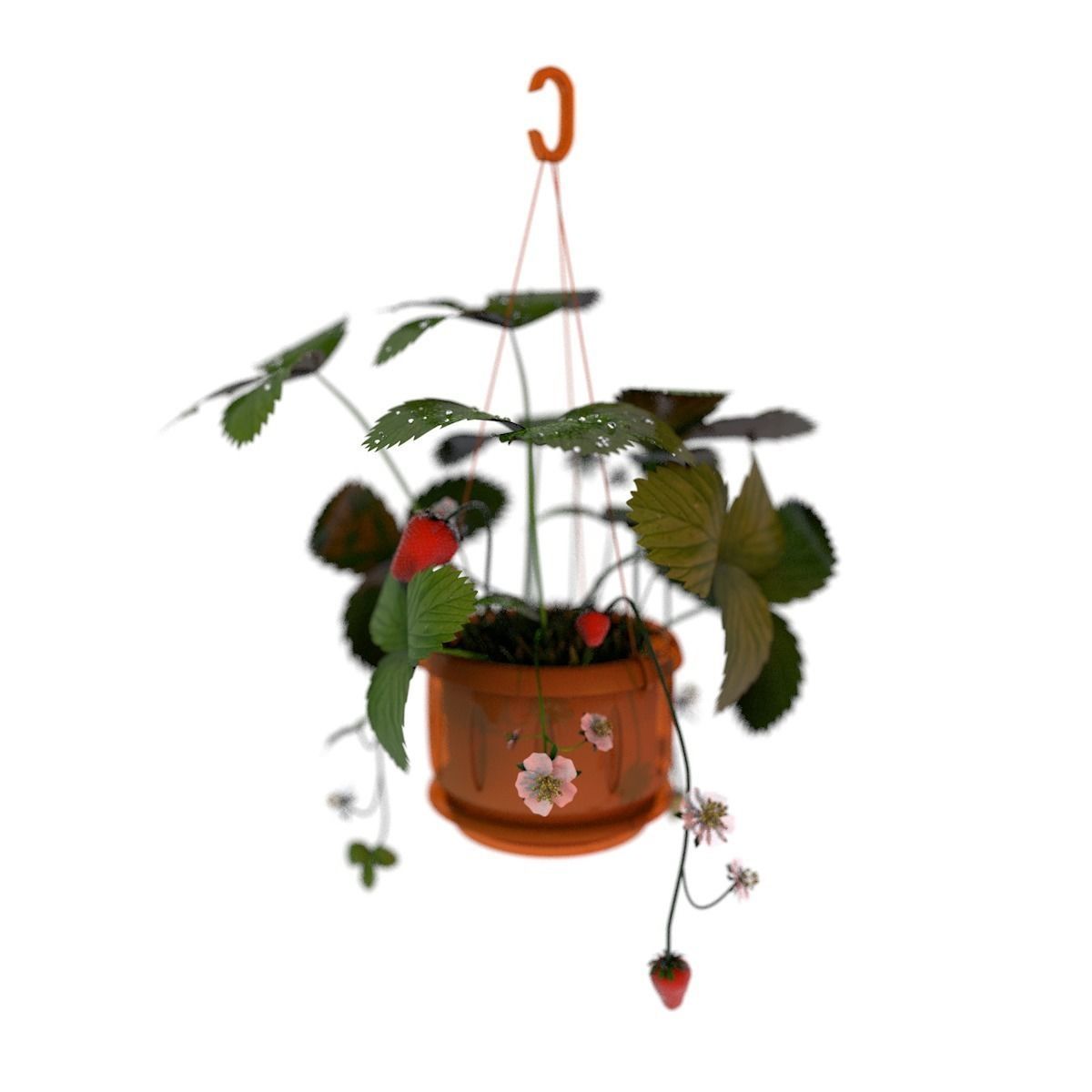 Strawberries in a pot
