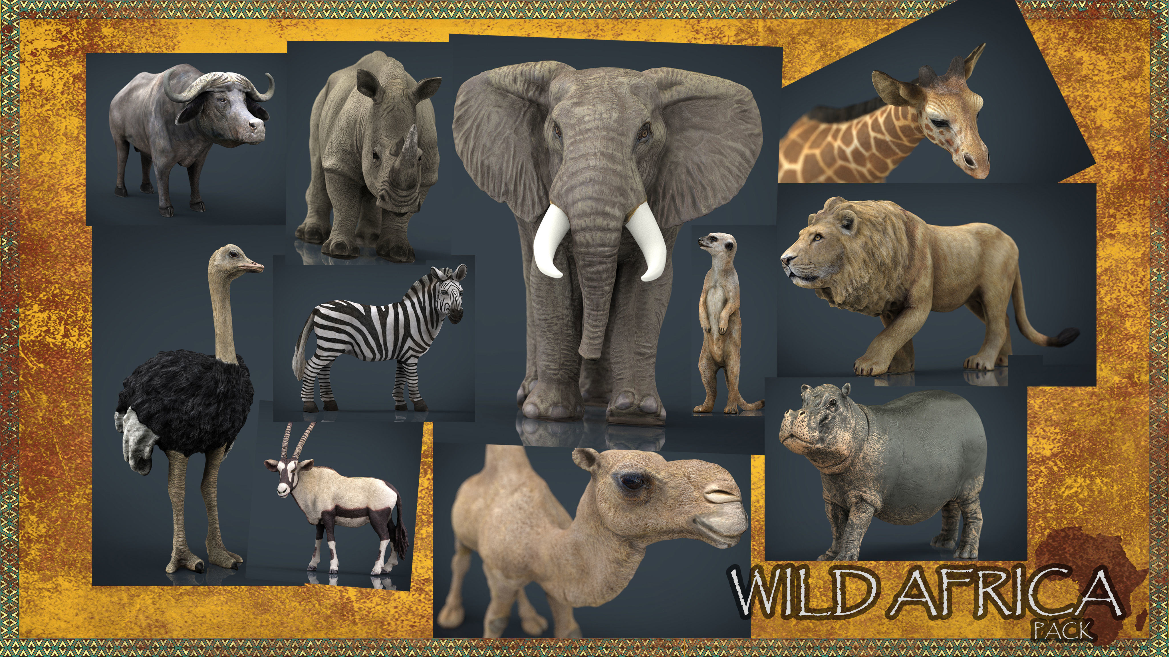 WILD AFRICA PACK