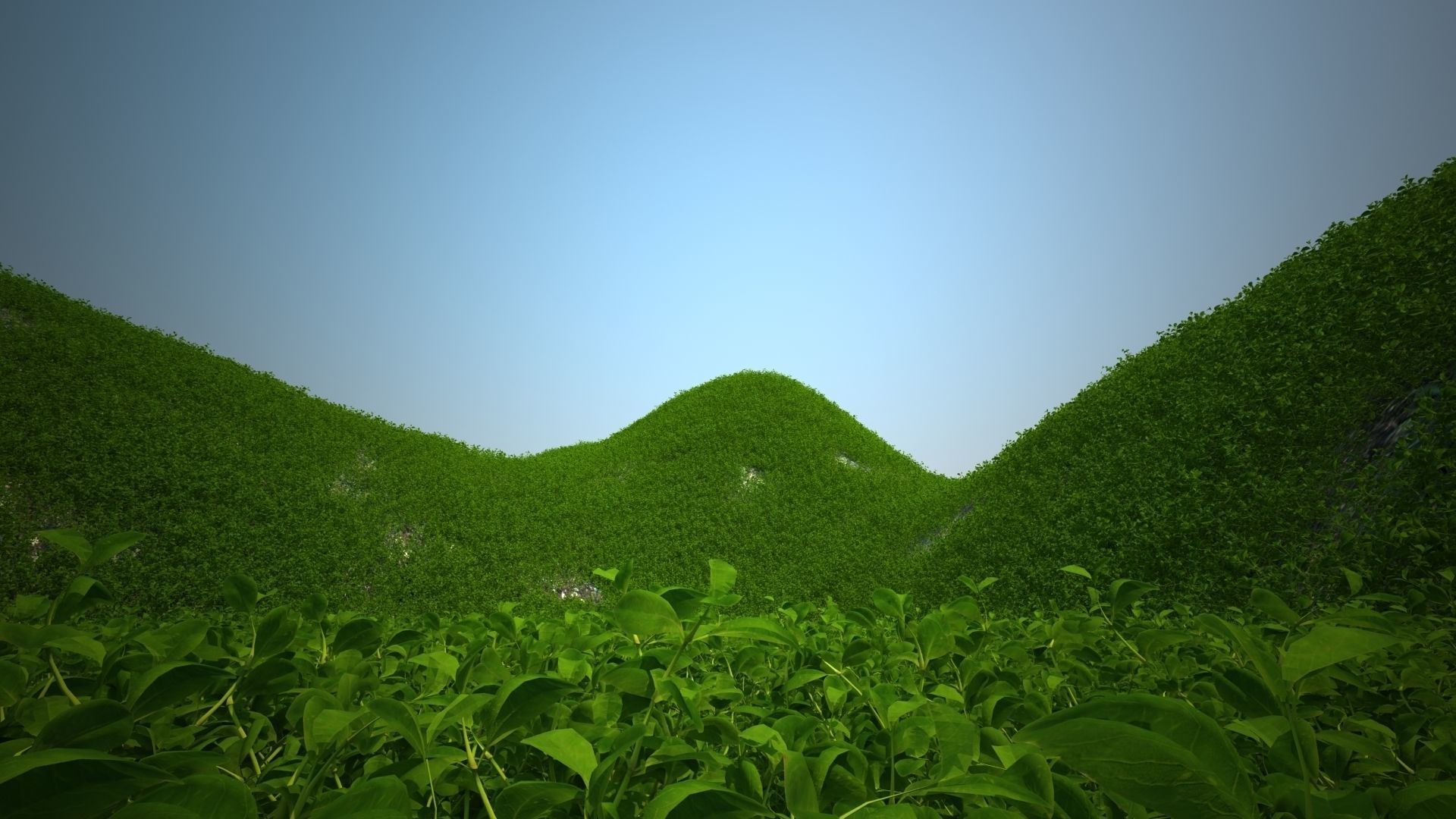 Grass Decoration