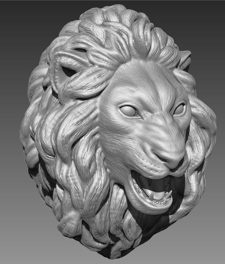 The head of a lion