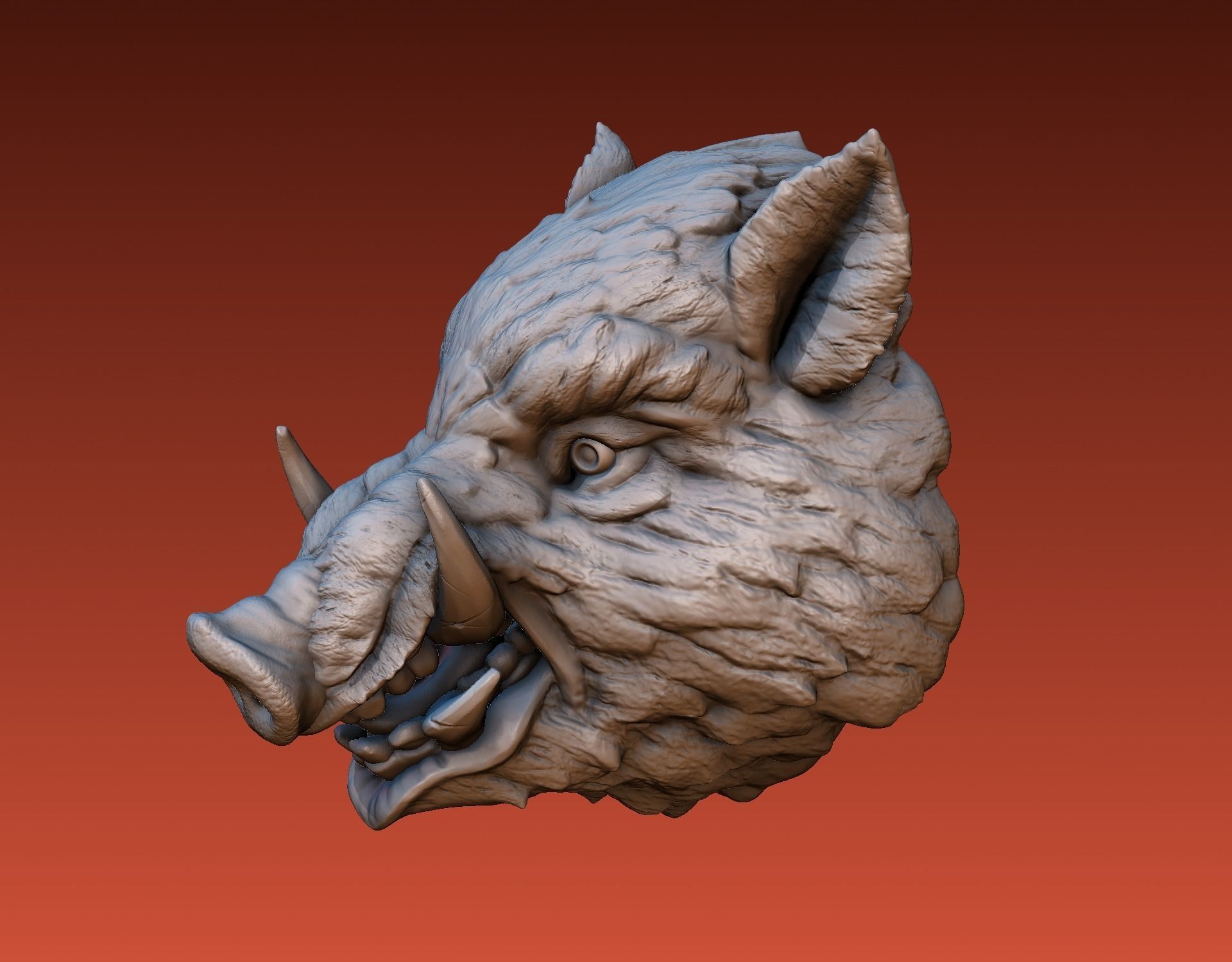 Boar head
