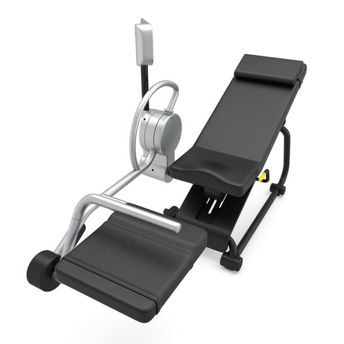 Flexability Machine Technogym - Stretching - Flexability Posterior 3D model | CGTrader