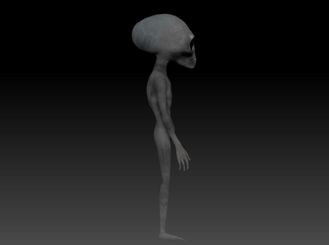 Vr Alien Model 3D model Grey Alien From AREA 51 - Midway Games - Remastered VR / AR ...