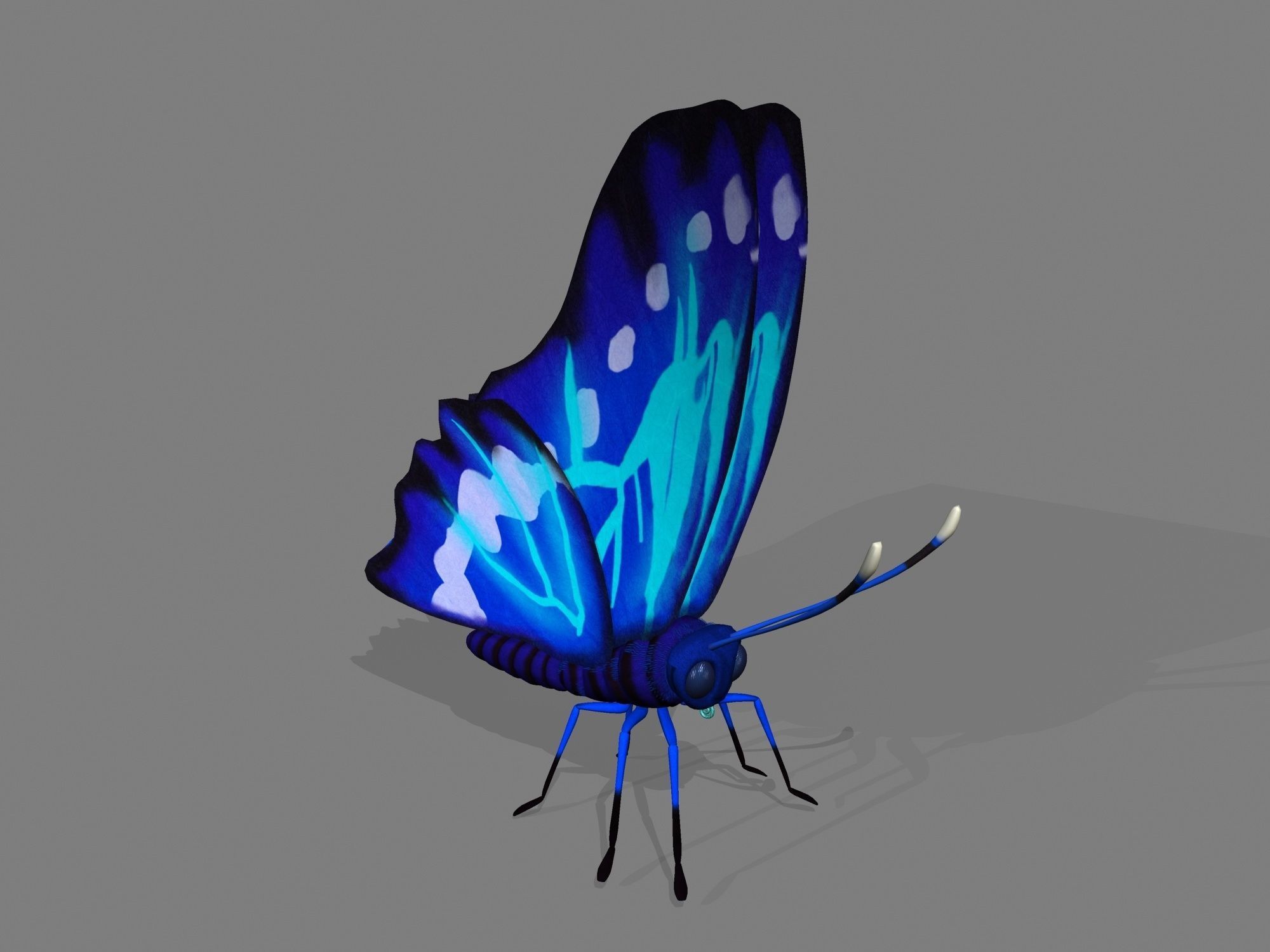 Cartoon butterfly 3D CGTrader