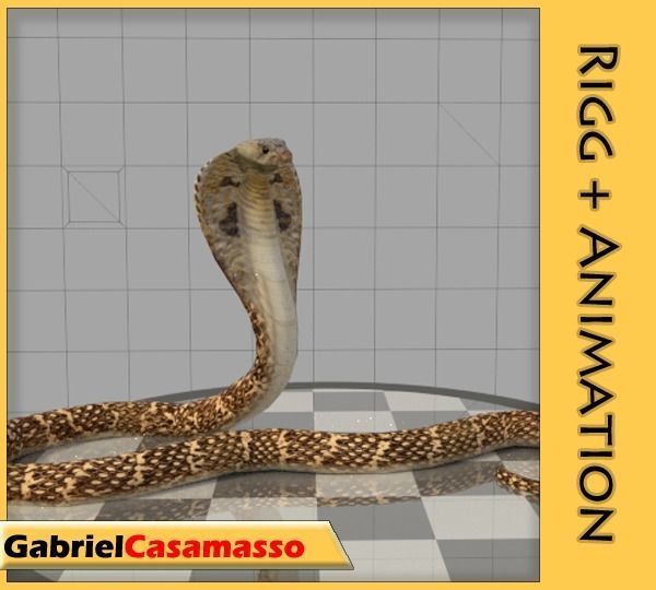 Cobra