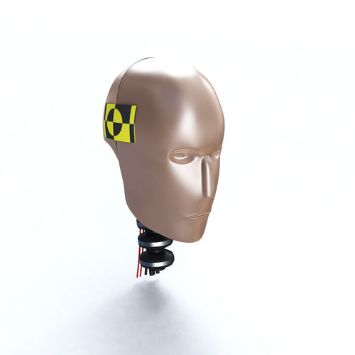 Male Crash Test Dummy Head 3D model CGTrader