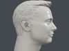 Elon Musk 3D printable portrait sculpture 3D model 3D printable | CGTrader