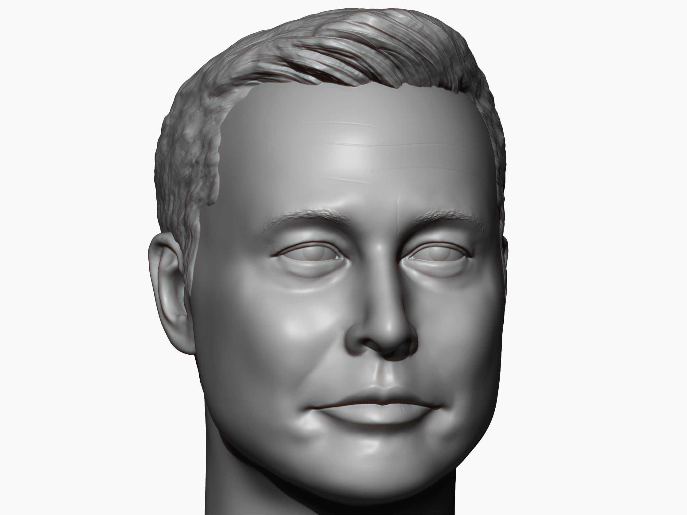 Elon Musk 3D printable portrait sculpture 3D model 3D printable | CGTrader