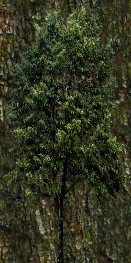 3D model City highway VR / AR / low-poly | CGTrader