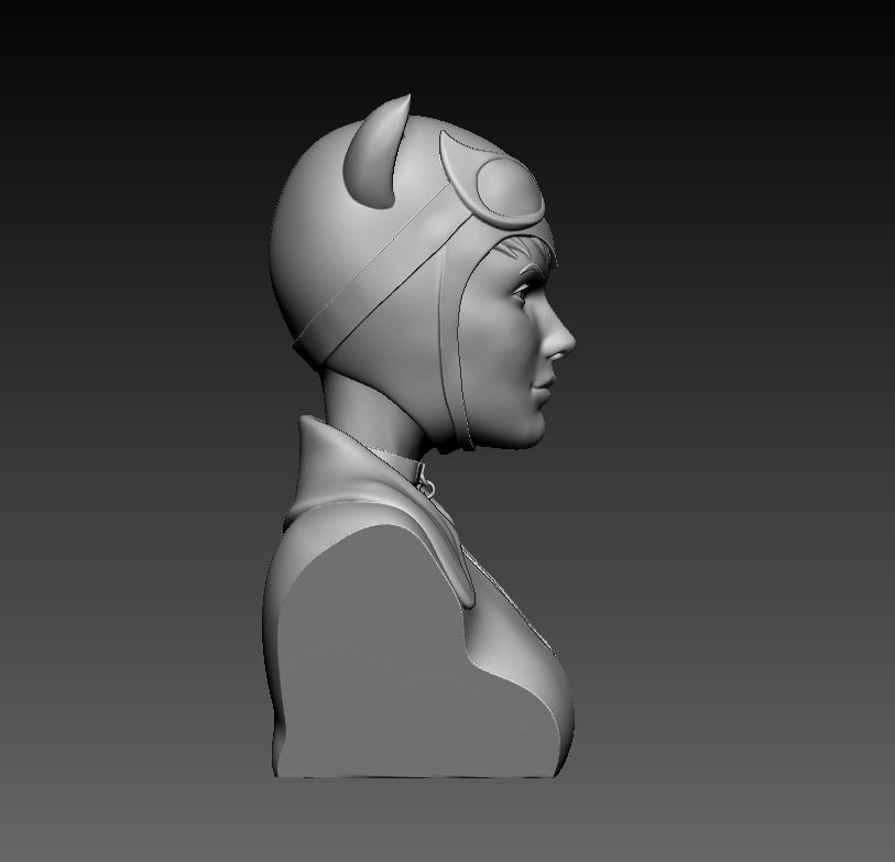 Bust - Catwoman 3D model 3D printable | CGTrader