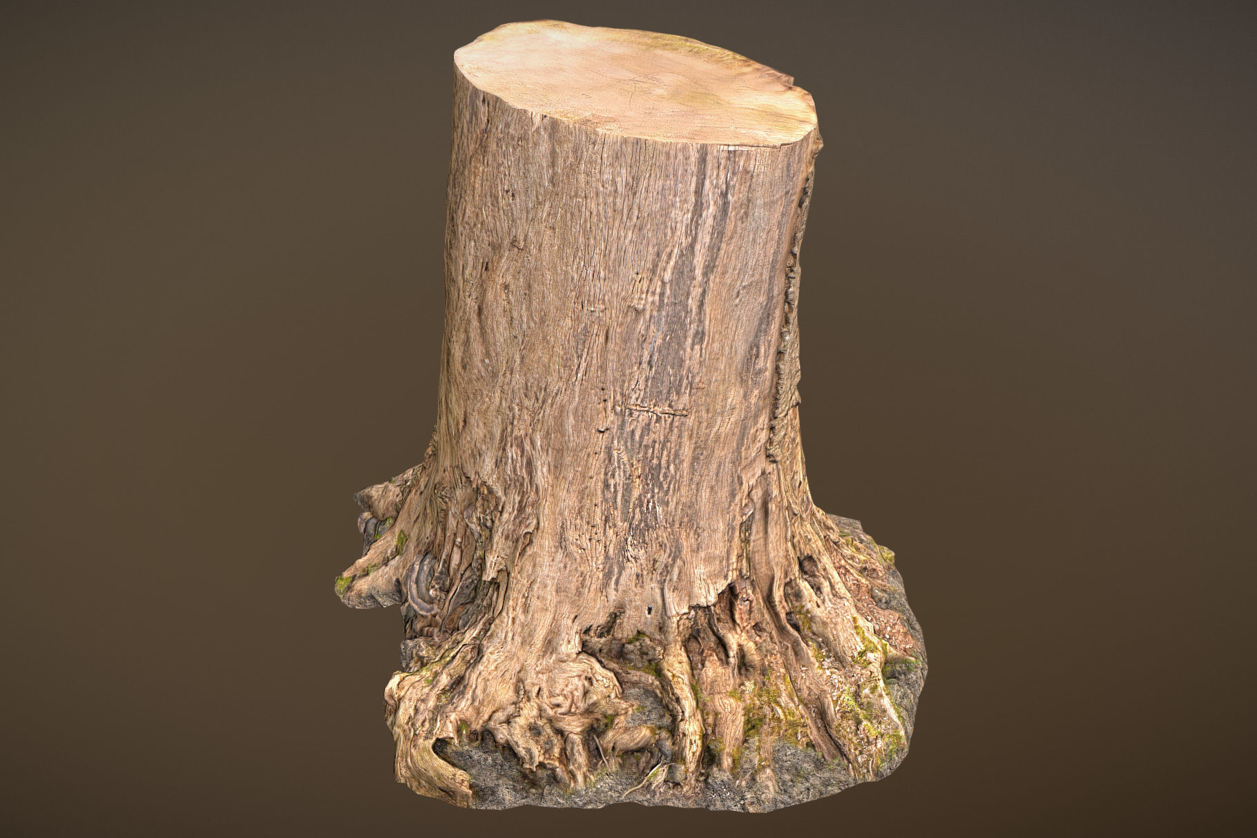 3D model VR / AR ready Tree Stump CGTrader