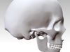 Skull 3D model 3D printable | CGTrader