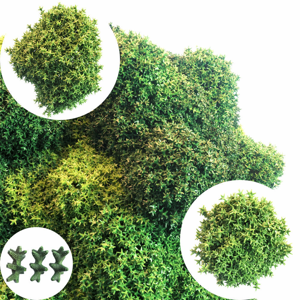 Moss Set