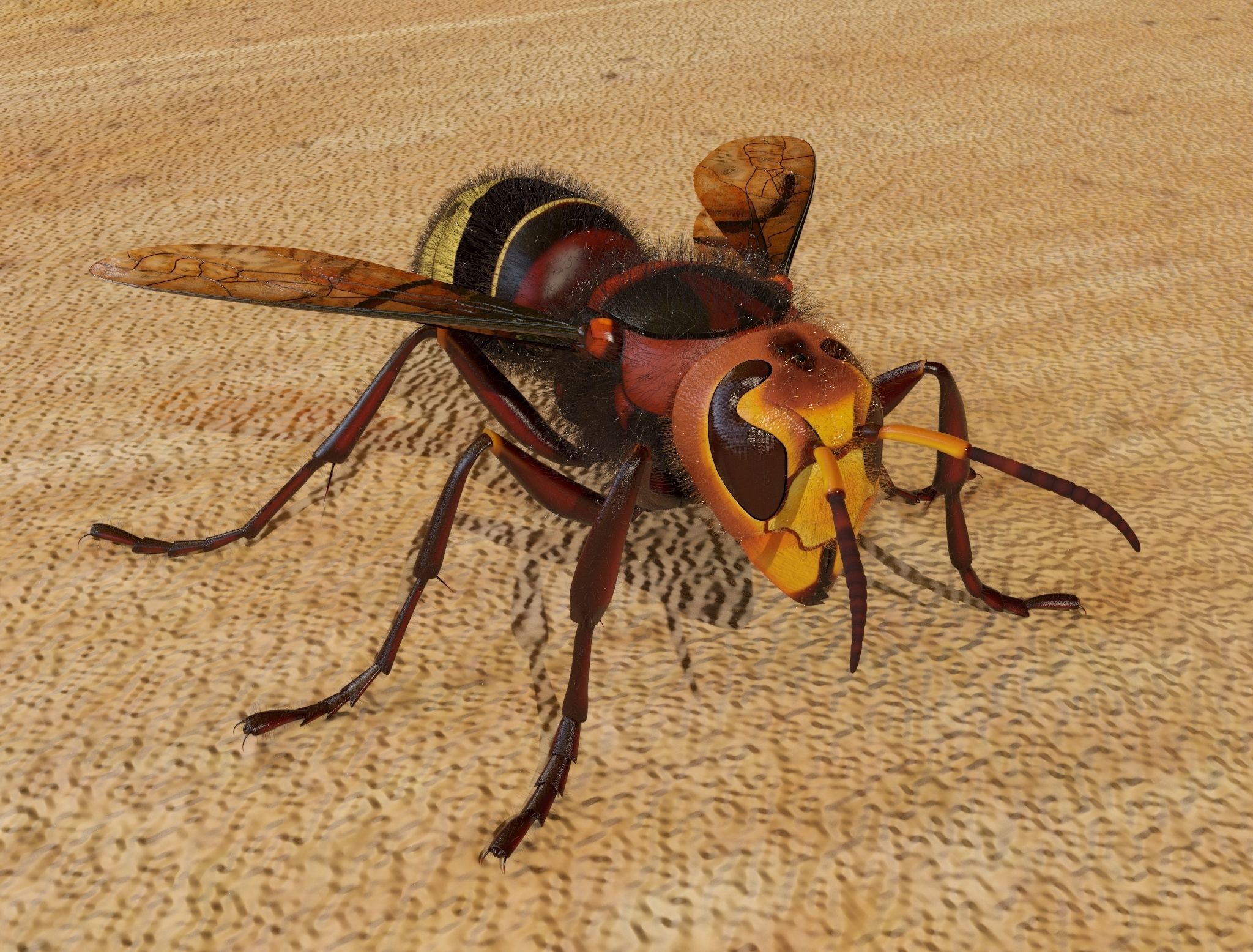 Realistic hornet rigged and animated for 3ds Max 3D model