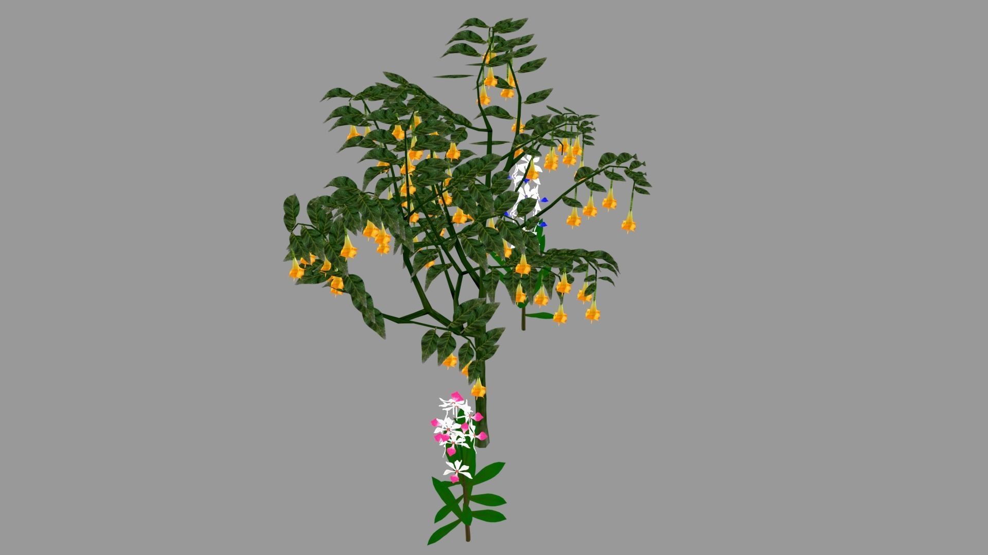 tree flower