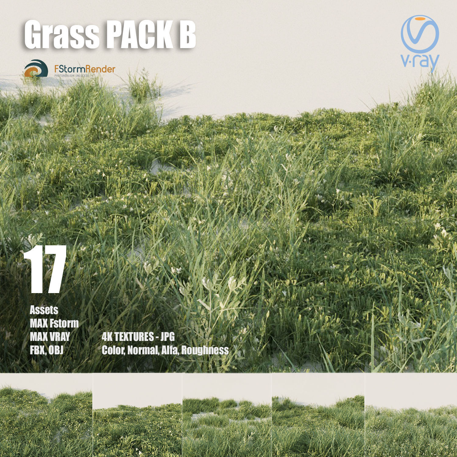 Grass pack B