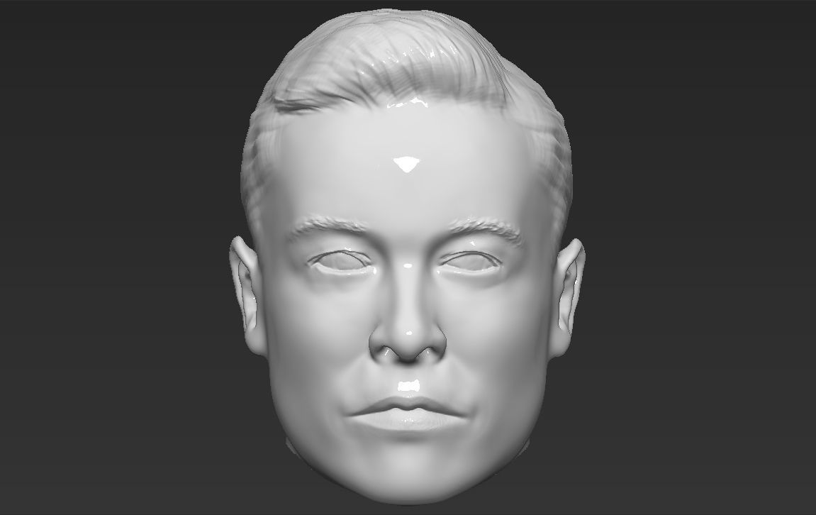 Elon Musk standard version only mesh