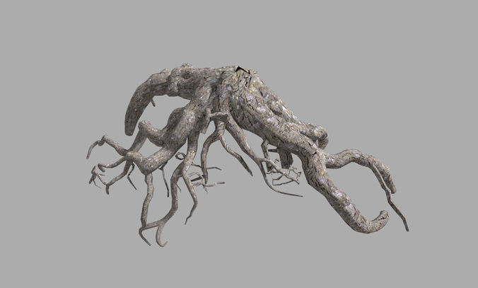 3D model low poly tree root 1 VR / AR / low-poly | CGTrader