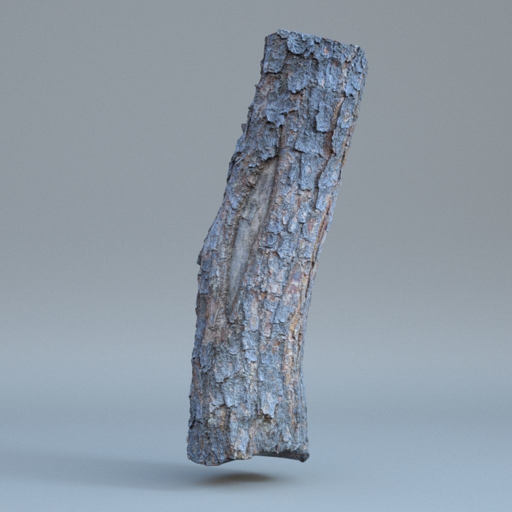 Tree log 01