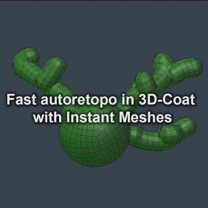 Instant meshes in 3D-Coat. Fast Autoretopology | CGTrader