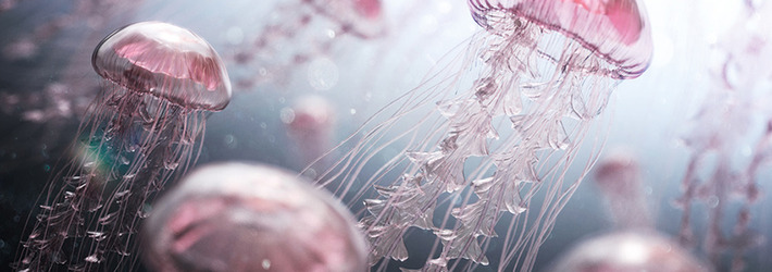 The Wildlife in 3D: 16 Astonishing Computer-Generated Images