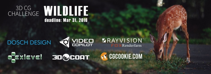 CG Wildlife Challenge Winners!